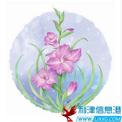 QQ截图20160509170412.jpg