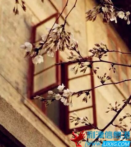 QQ截图20160128173948.jpg