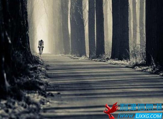 QQ截图20160128174024.jpg