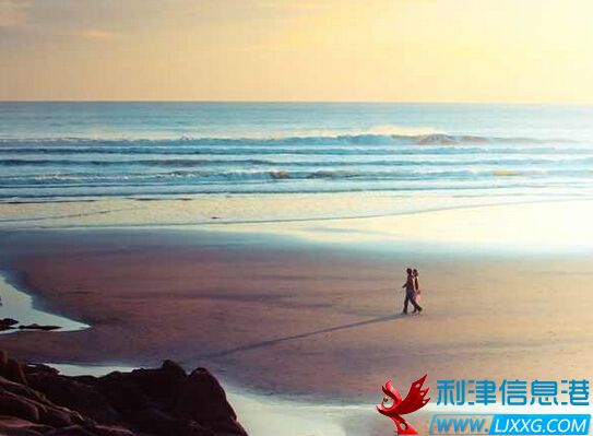 QQ截图20160128173956.jpg