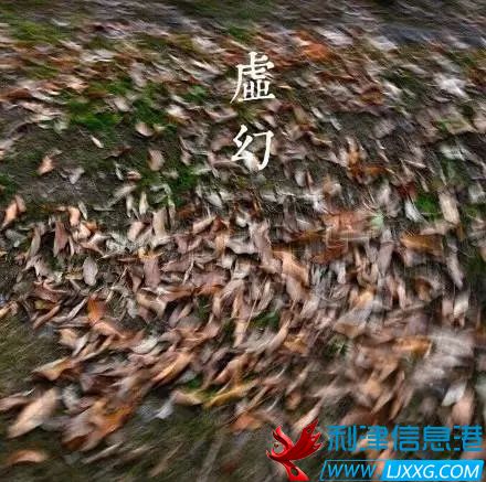 640.webp (14).jpg