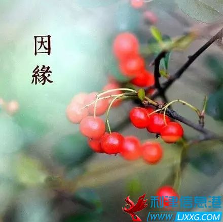640.webp (12).jpg