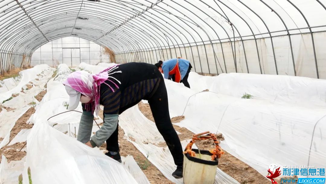202203080943462902.jpg 3.jpg